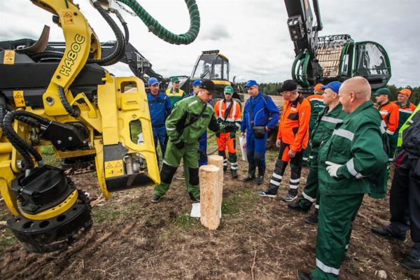 За 8 дней 12 лесорубов выполняют план по лесозаготовке сколько лесорубов